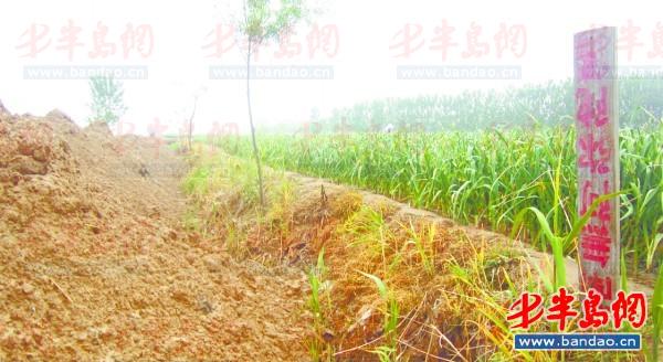 2011年底一名孩子在三輪車上趕作業(yè)。一年半過去了，這樣的場景仍隨處可見。