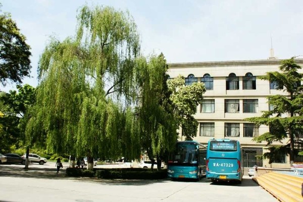 蘭大微變化 | 這些校車安全細節(jié)你一定要知道