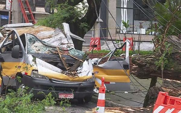 米納斯一校車被樹(shù)砸中 司機(jī)死前叫喊救孩子