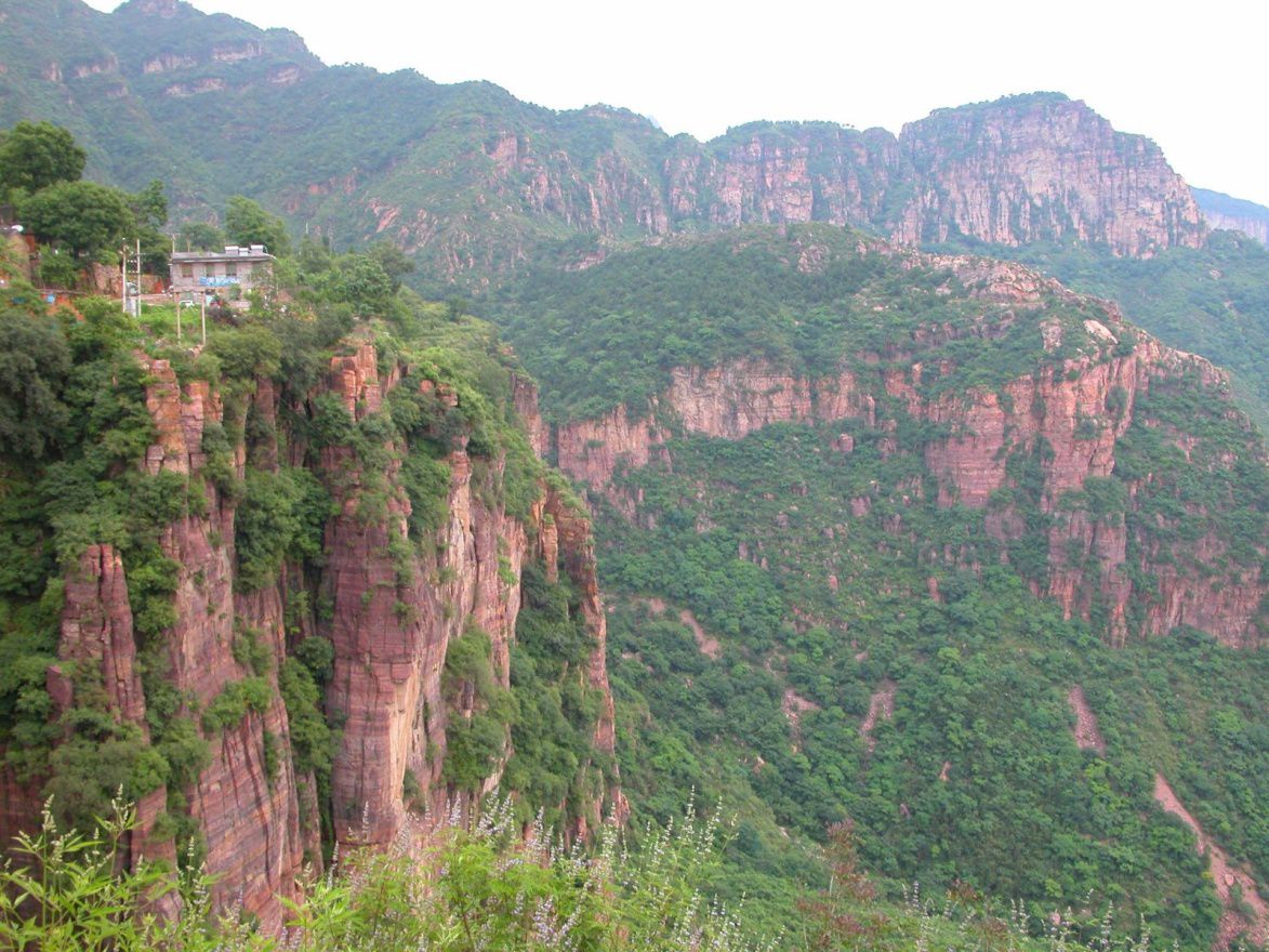 夾縫中的石樹(shù)