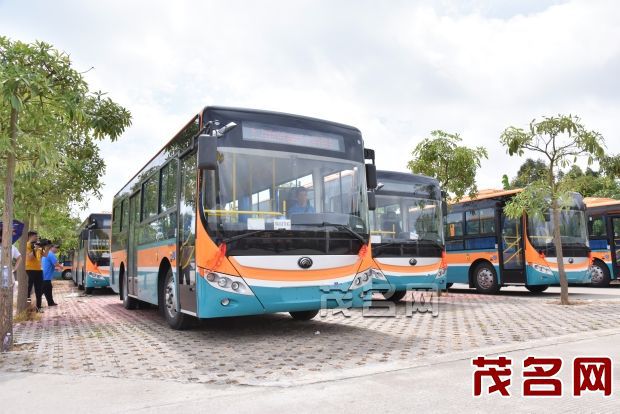 廣東茂名電白區(qū)即將開通水東城區(qū)學校21條專線校車